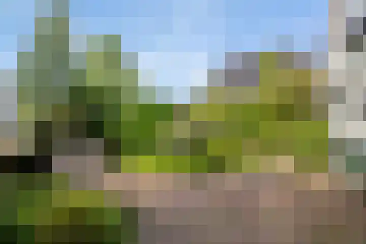 Wjitteringswei 31 Aldeboarn thumbnail 5