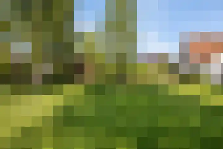 Wjitteringswei 31 Aldeboarn thumbnail 50