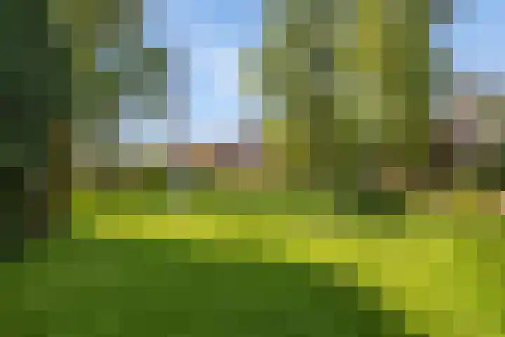 Wjitteringswei 31 Aldeboarn thumbnail 51