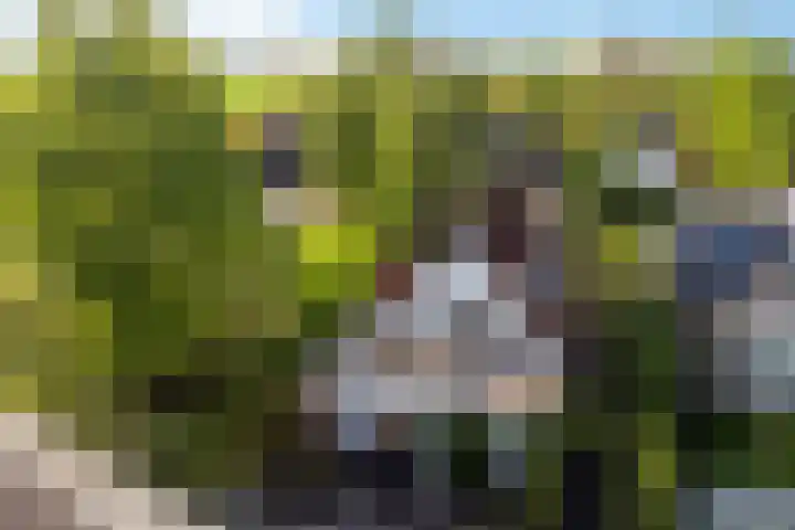 Wjitteringswei 31 Aldeboarn thumbnail 52