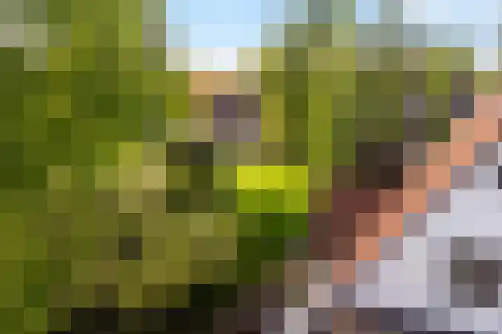 Wjitteringswei 31 Aldeboarn thumbnail 53