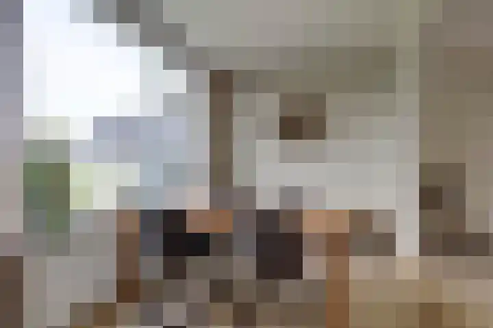 Wjitteringswei 44 Aldeboarn thumbnail 10
