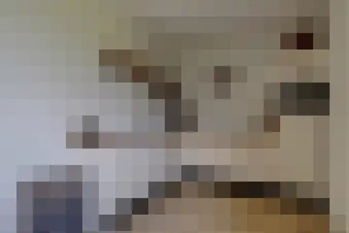 Wjitteringswei 44 Aldeboarn thumbnail 12