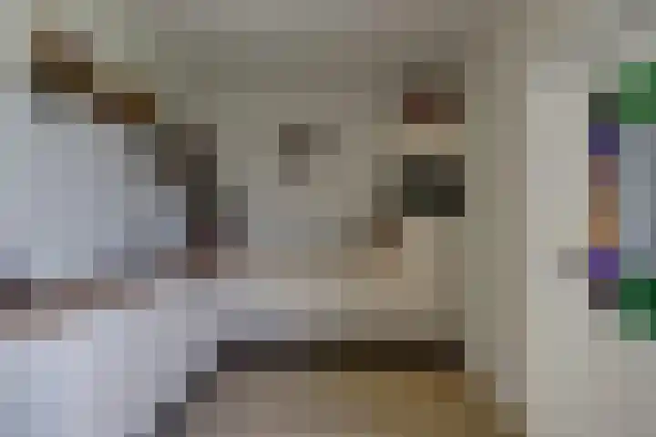 Wjitteringswei 44 Aldeboarn thumbnail 13