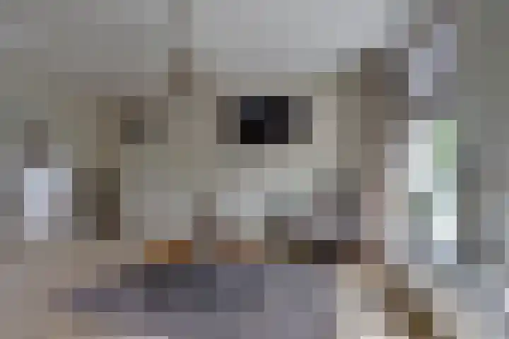 Wjitteringswei 44 Aldeboarn thumbnail 18
