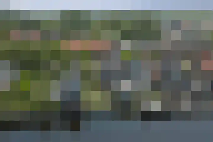 Wjitteringswei 44 Aldeboarn thumbnail 41