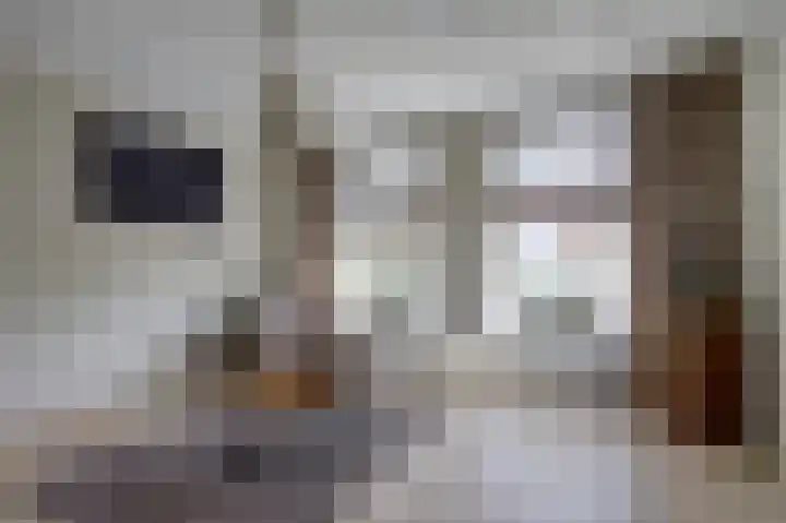 Wjitteringswei 44 Aldeboarn thumbnail 5
