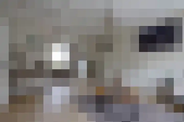 Wjitteringswei 44 Aldeboarn thumbnail 6
