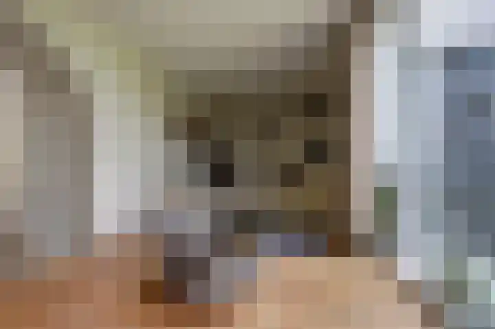 Wjitteringswei 44 Aldeboarn thumbnail 8