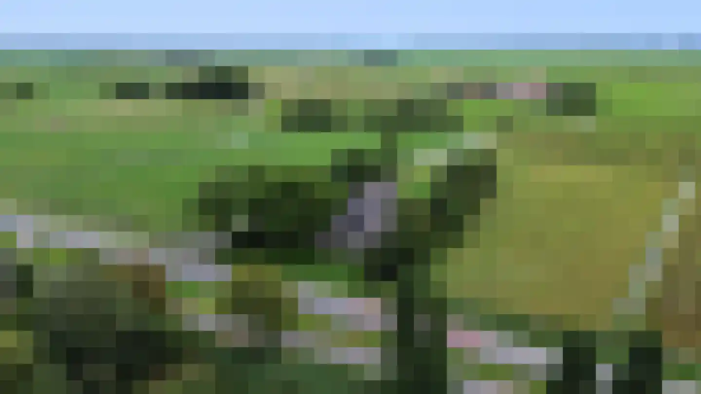 Wjitteringswei 61 Aldeboarn