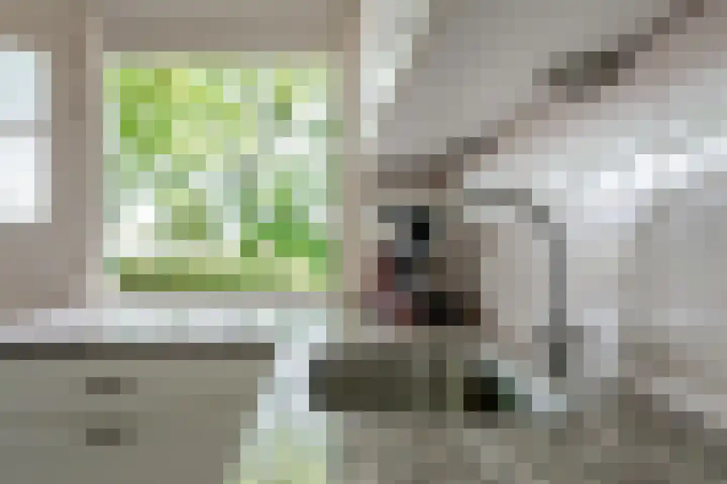 Wjitteringswei 61 Aldeboarn thumbnail 13