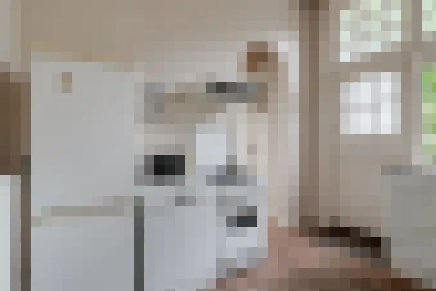 Wjitteringswei 61 Aldeboarn thumbnail 14