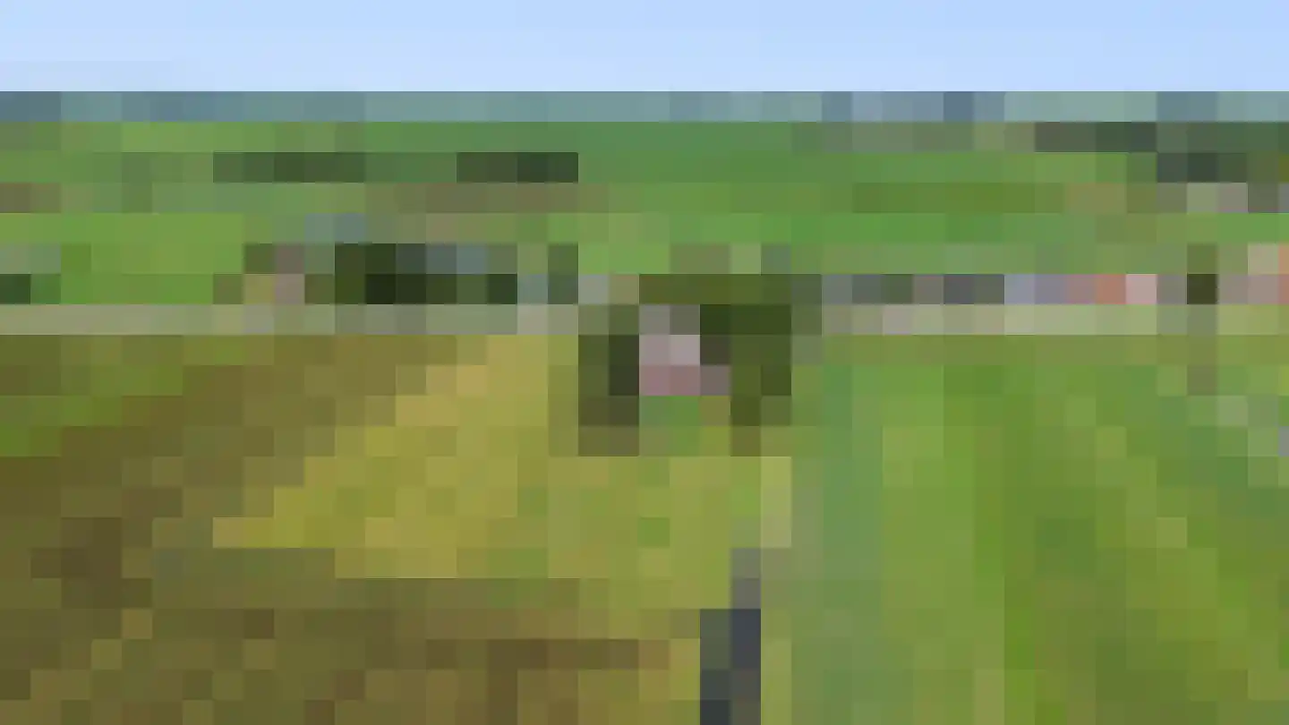 Wjitteringswei 61 Aldeboarn foto 3