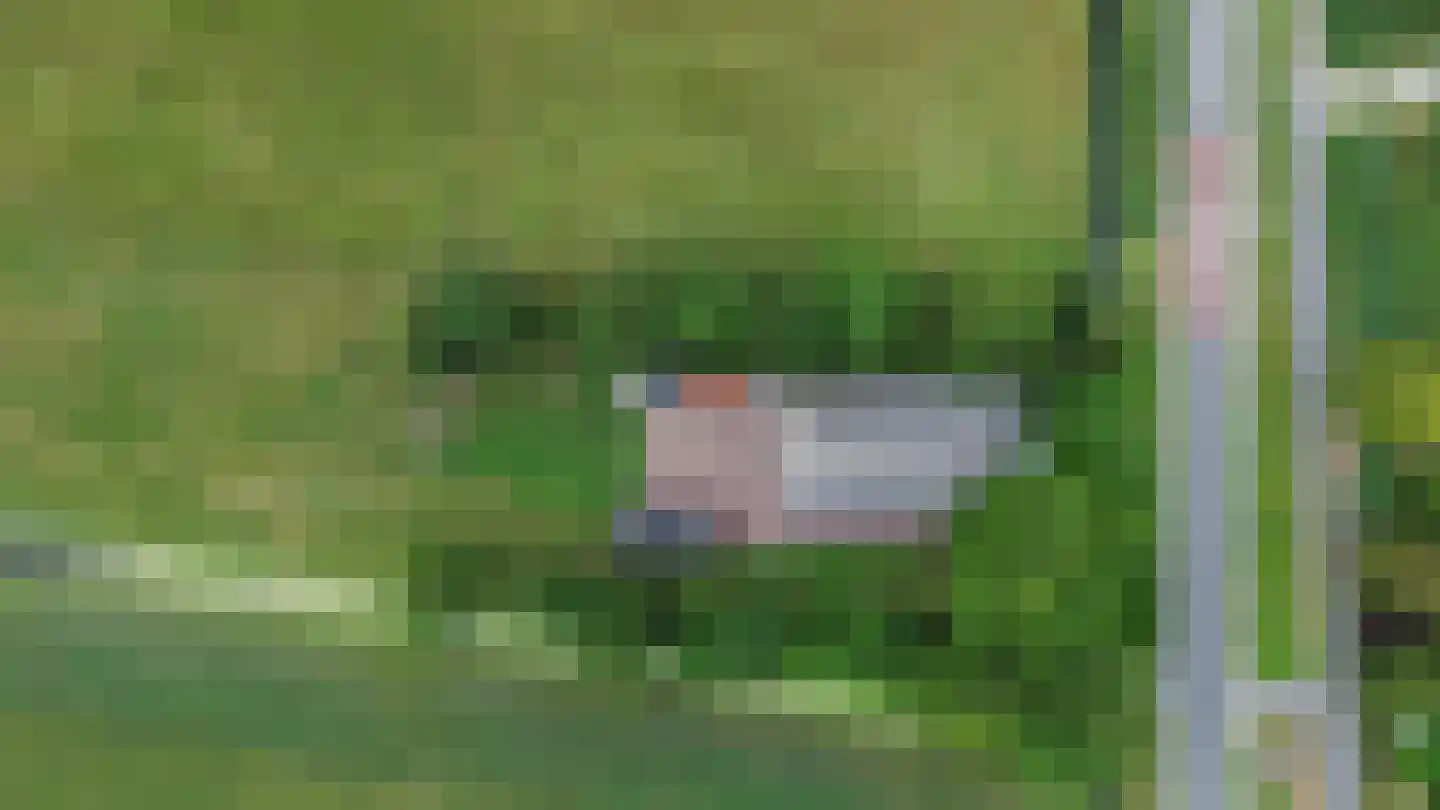 Wjitteringswei 61 Aldeboarn thumbnail 4
