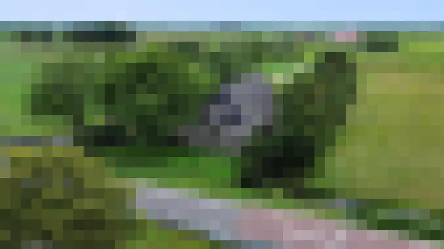 Wjitteringswei 61 Aldeboarn thumbnail 6