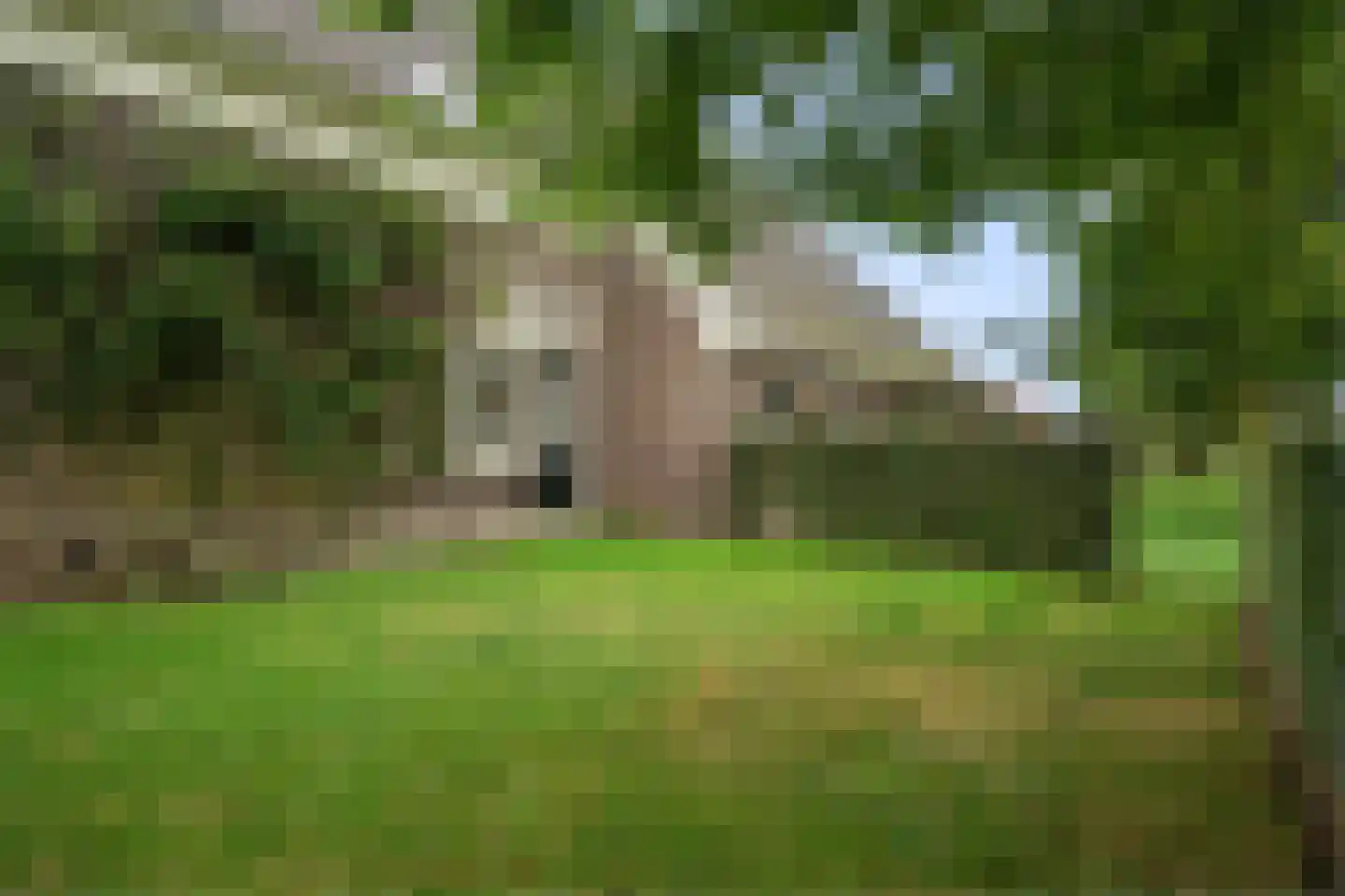 Wjitteringswei 61 Aldeboarn thumbnail 62