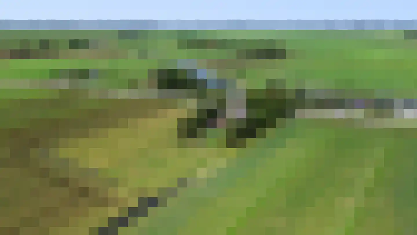 Wjitteringswei 61 Aldeboarn thumbnail 64