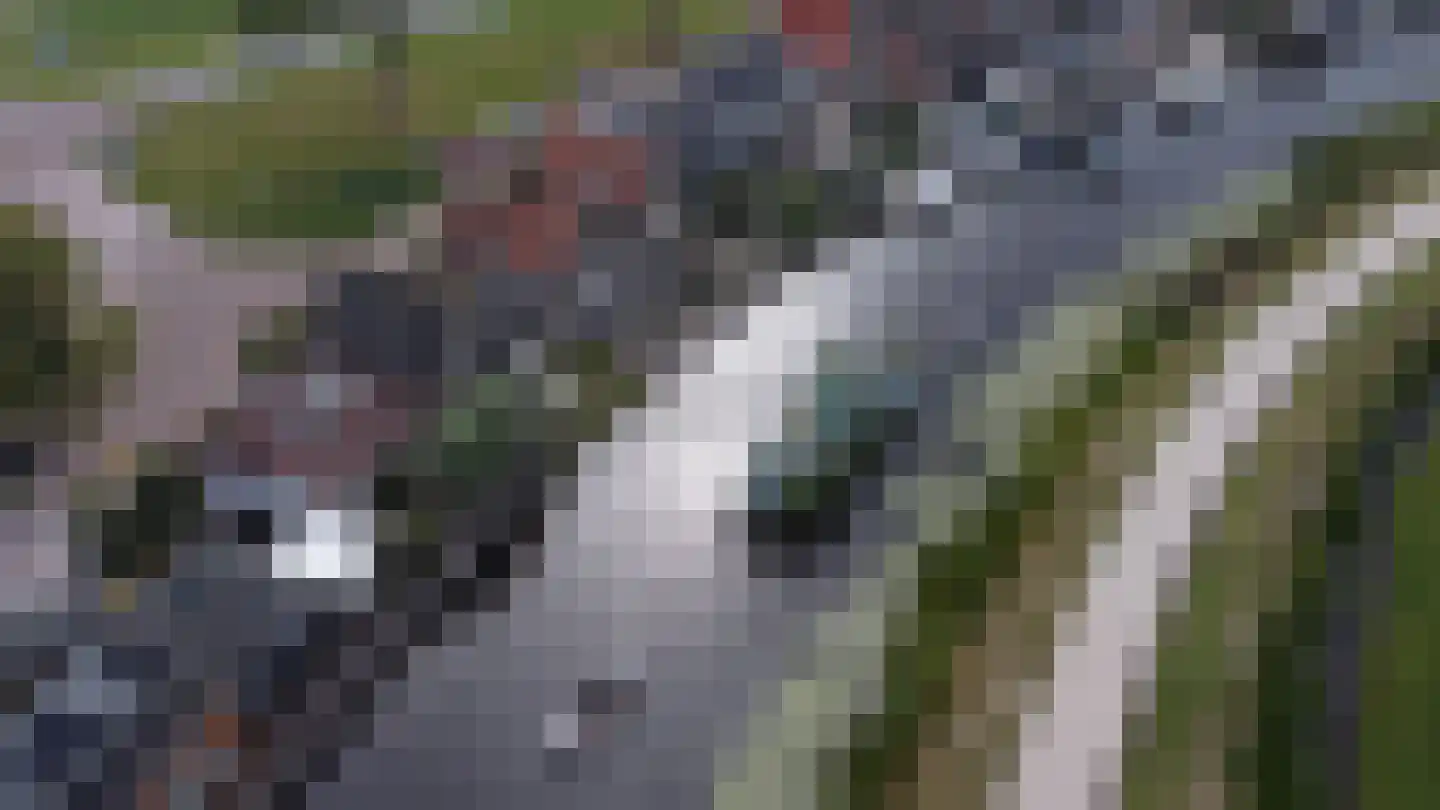 Wjitteringswei 70 Aldeboarn thumbnail 31