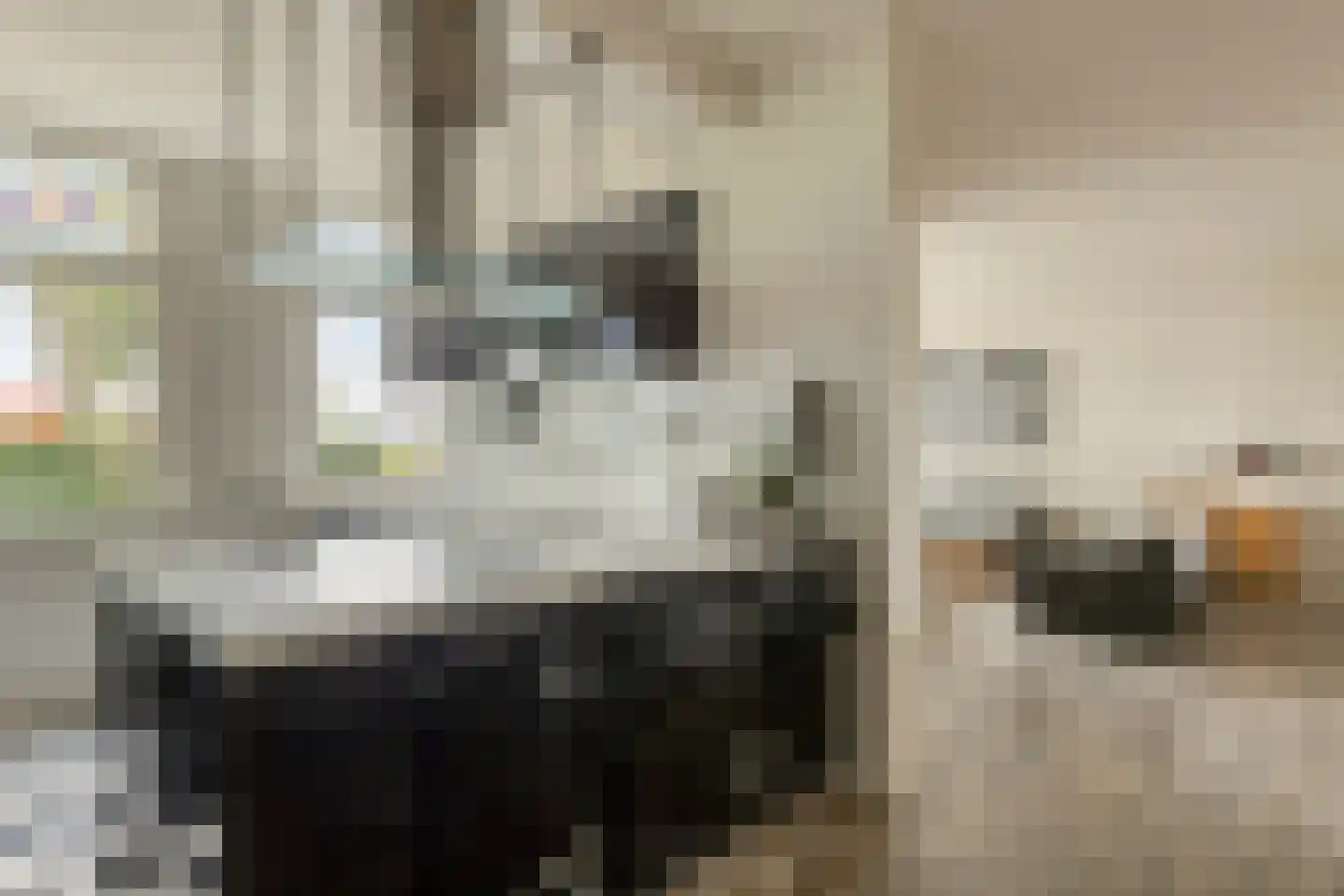 Wjitteringswei 70 Aldeboarn thumbnail 4