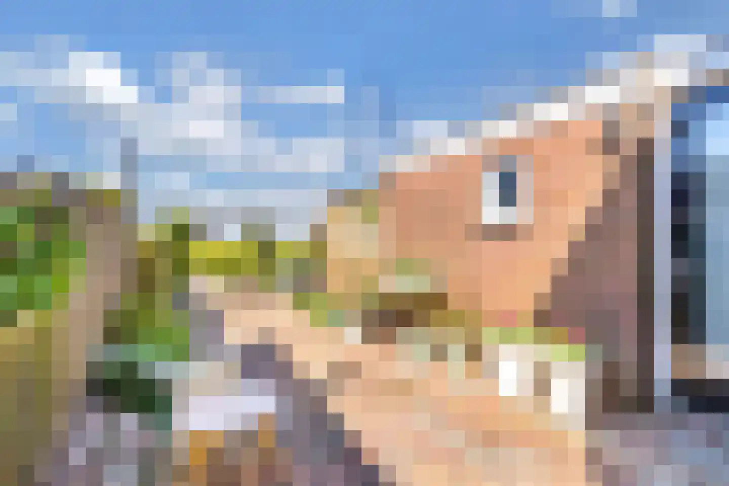 Wjitteringswei 82 Aldeboarn thumbnail 29