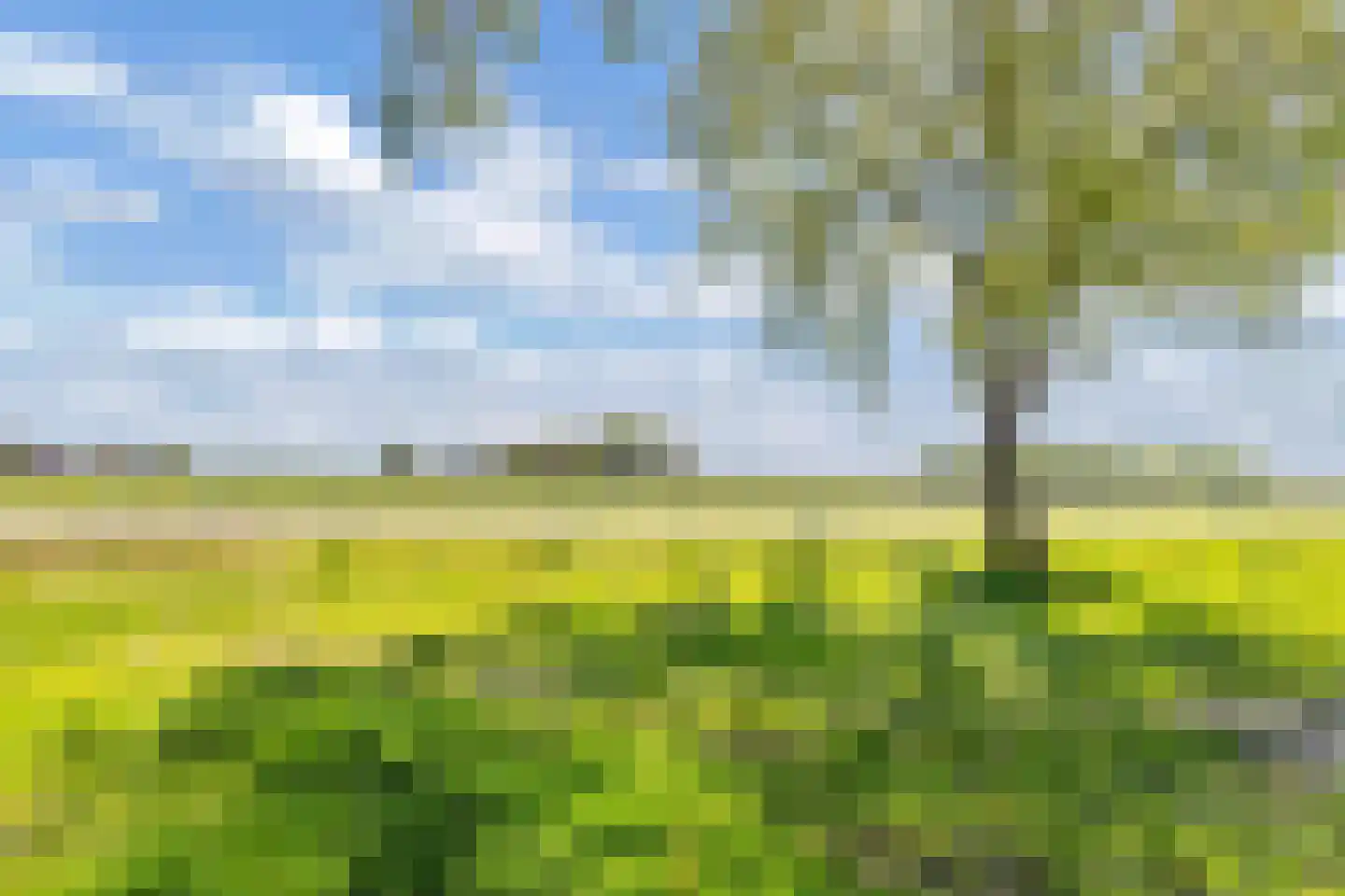 Wjitteringswei 82 Aldeboarn thumbnail 34