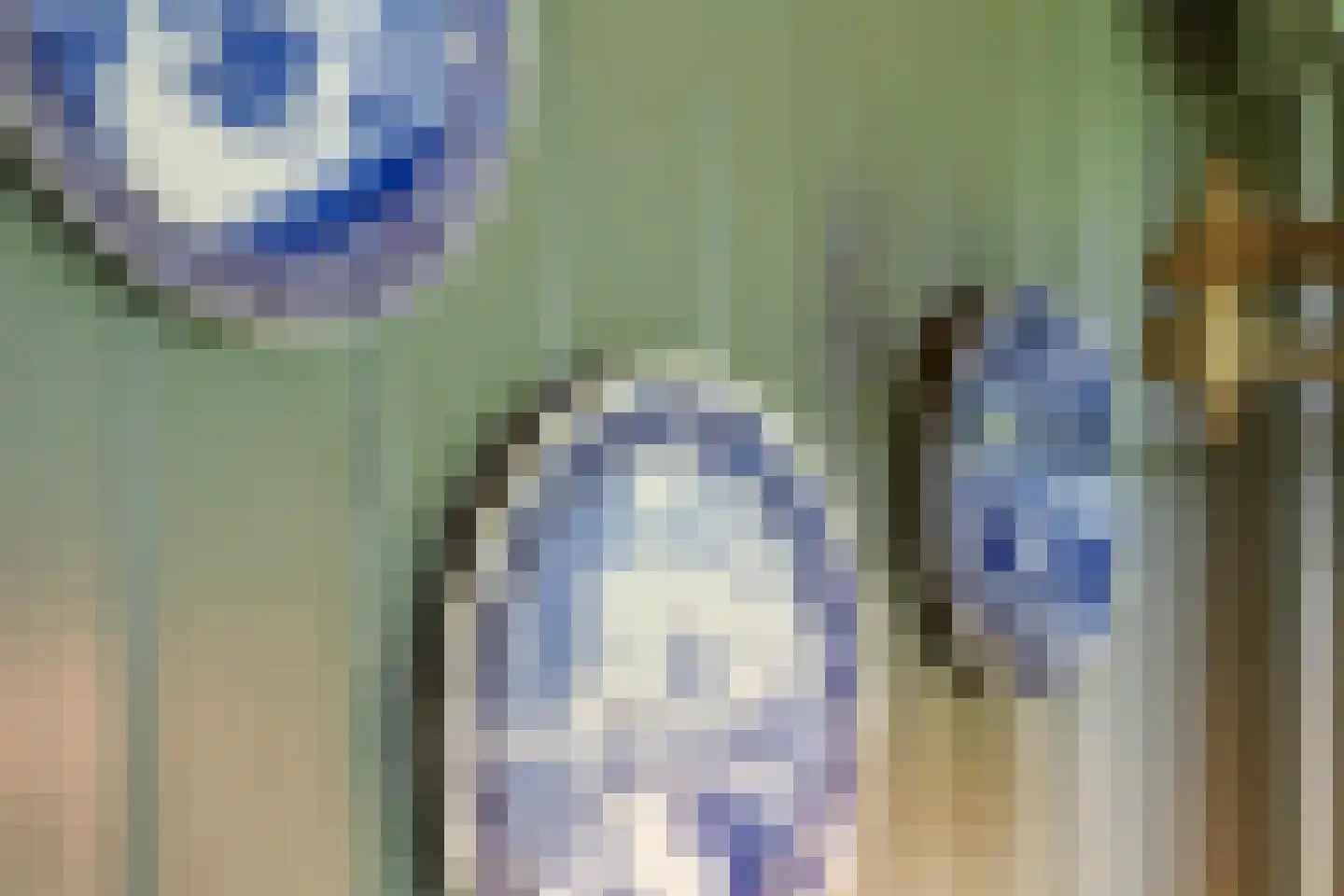 Wjuk 13 Ternaard thumbnail 16