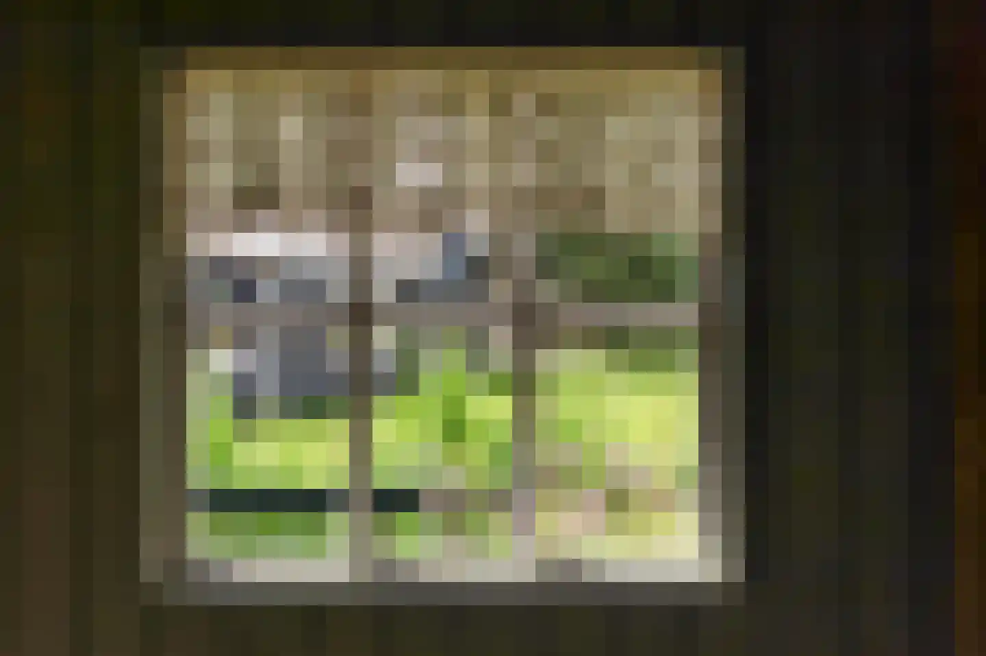 Wjuk 13 Ternaard thumbnail 25