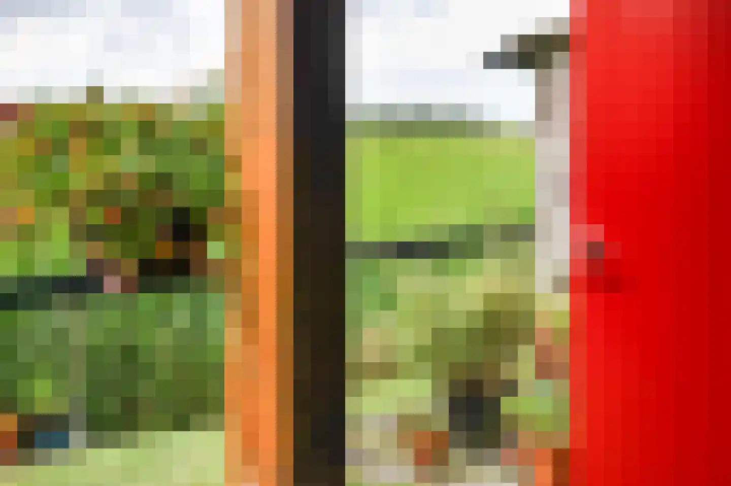 Wjuk 13 Ternaard thumbnail 29