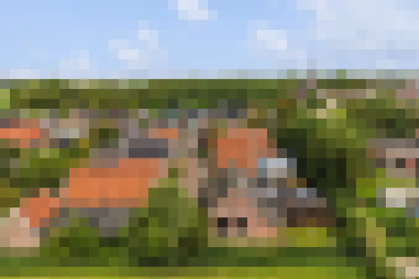 Wjuk 13 Ternaard foto 3