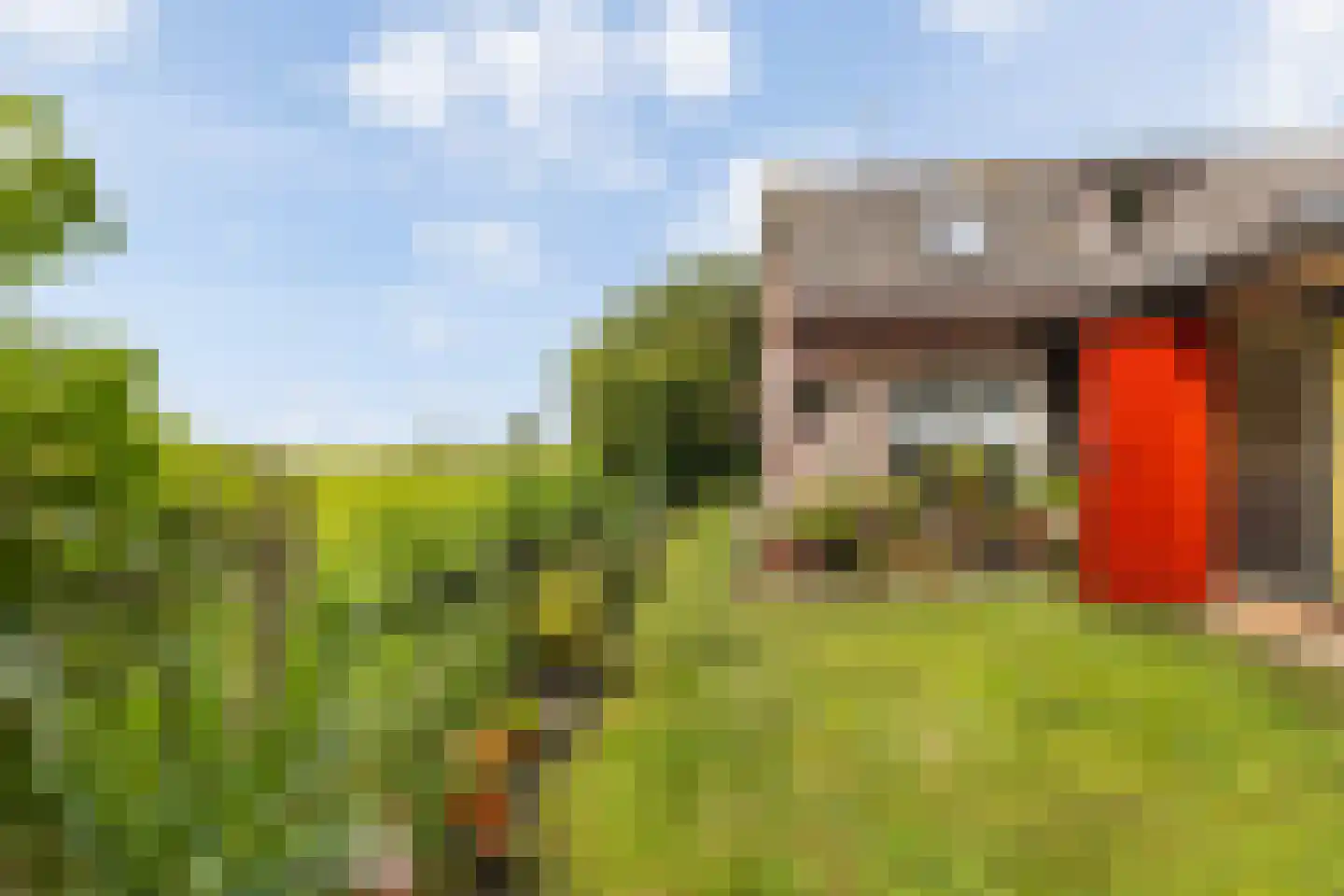 Wjuk 13 Ternaard thumbnail 31
