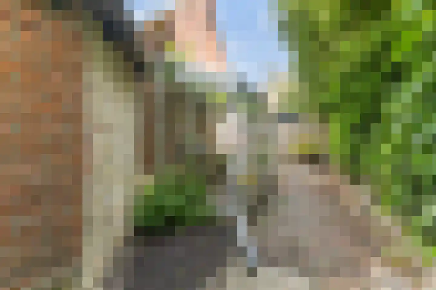 Wjuk 13 Ternaard thumbnail 34