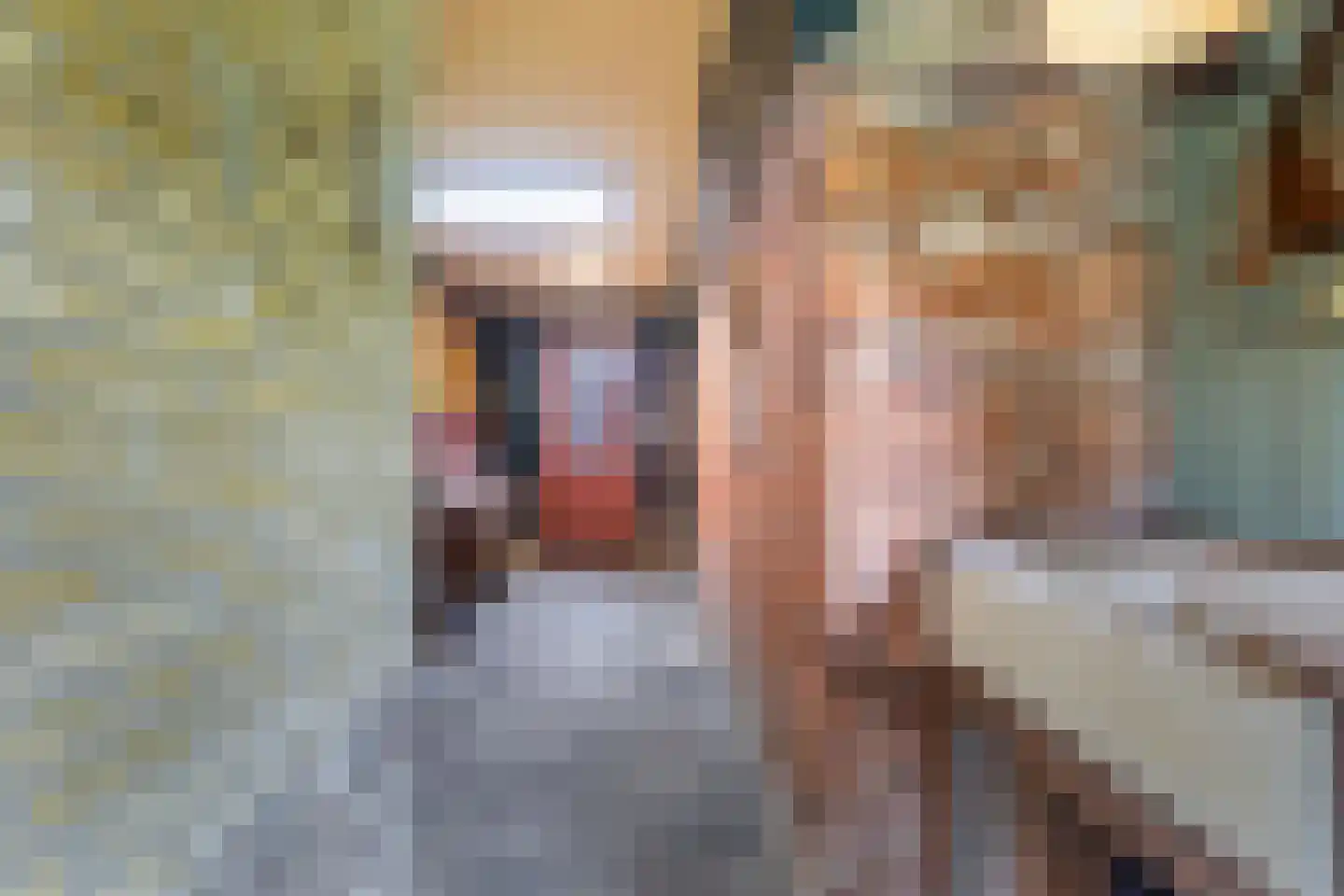Wjuk 13 Ternaard thumbnail 36