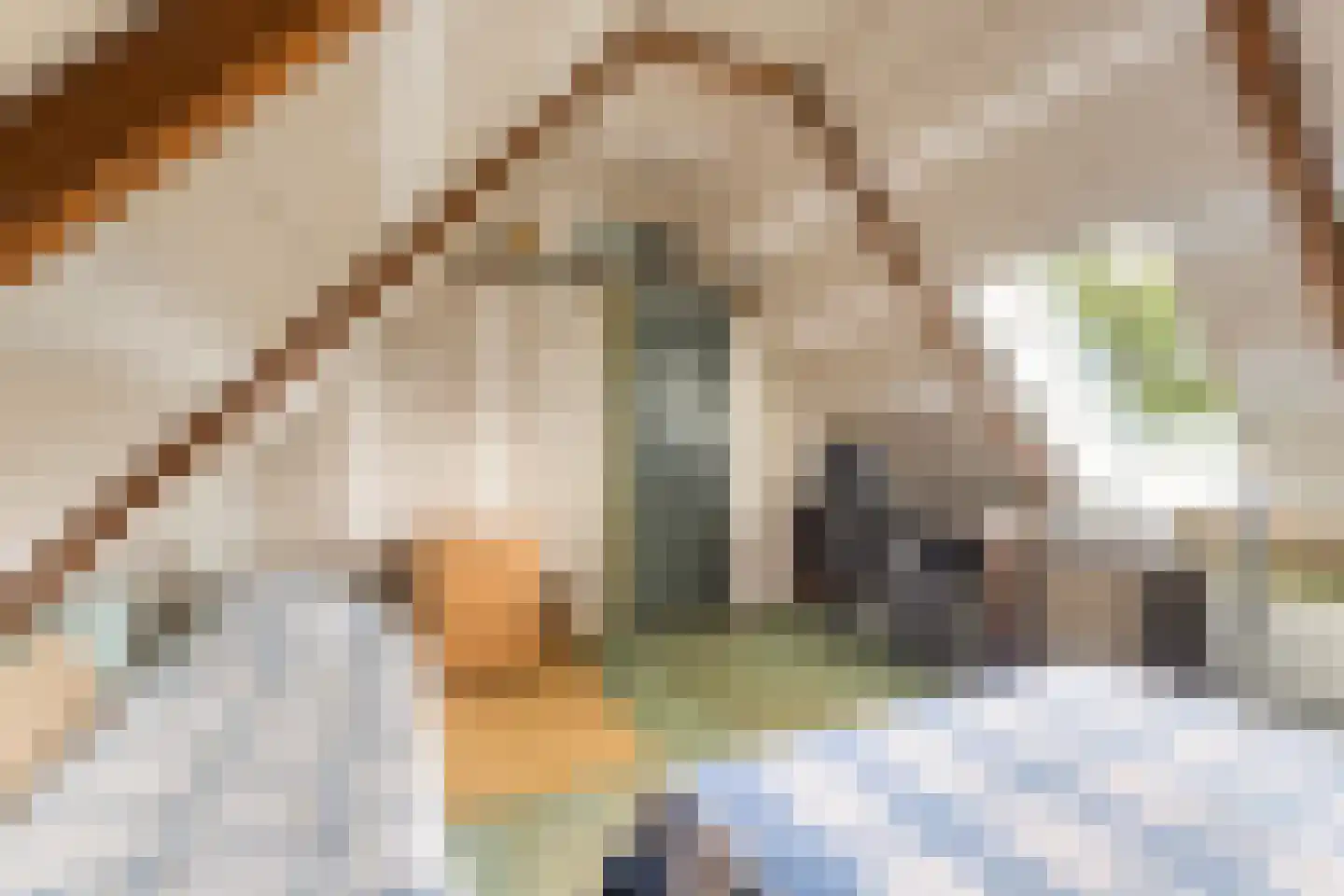 Wjuk 13 Ternaard thumbnail 44