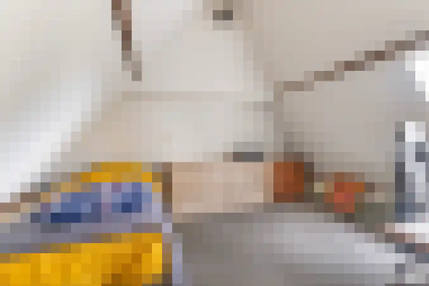 Wjuk 13 Ternaard thumbnail 45