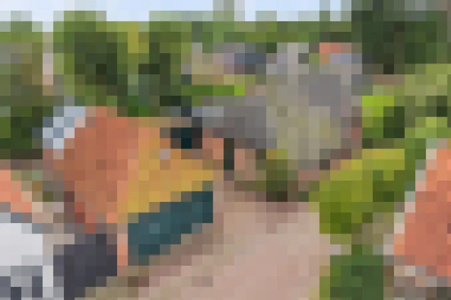 Wjuk 13 Ternaard thumbnail 5