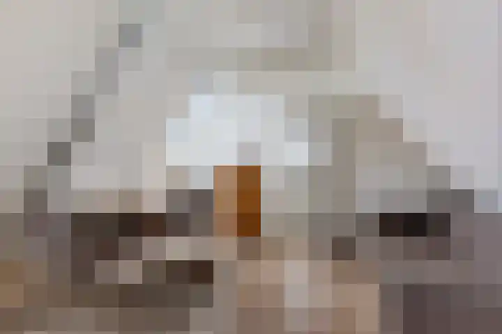 Wjuk 24 Ternaard thumbnail 11