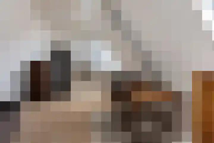 Wjuk 24 Ternaard thumbnail 12