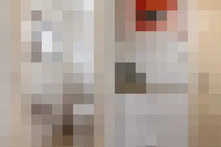 Wjuk 24 Ternaard thumbnail 14