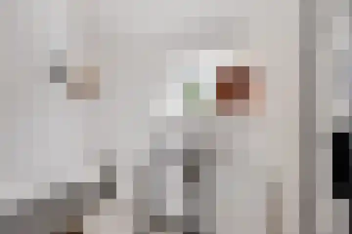 Wjuk 24 Ternaard thumbnail 16