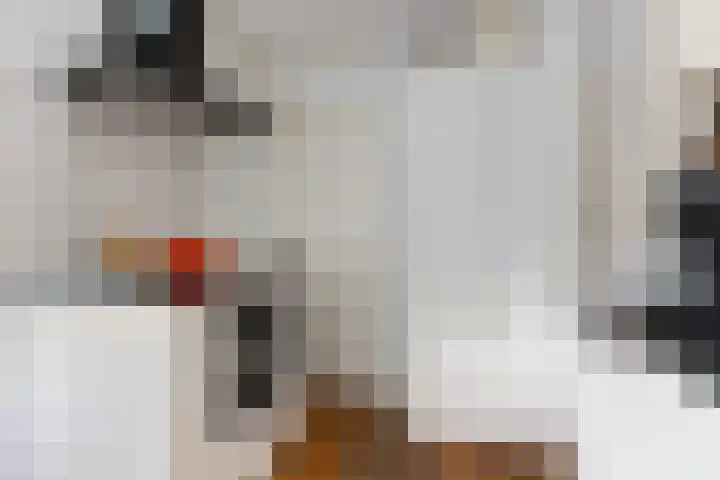 Wjuk 24 Ternaard thumbnail 18