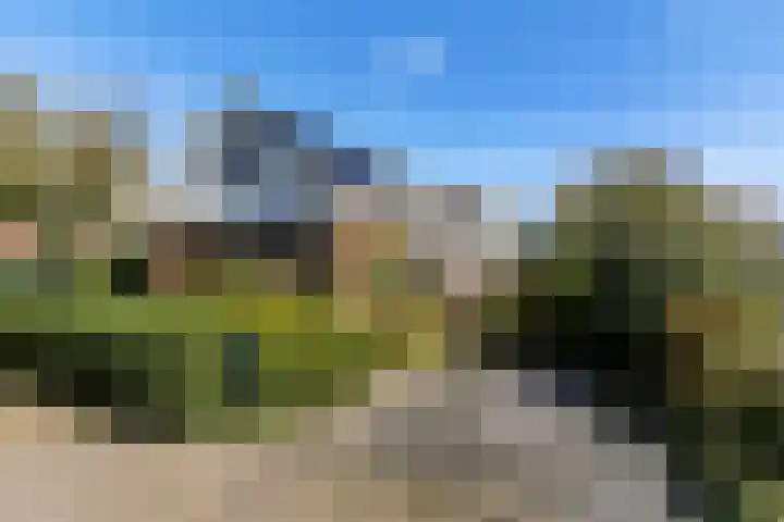 Wjuk 24 Ternaard foto 2