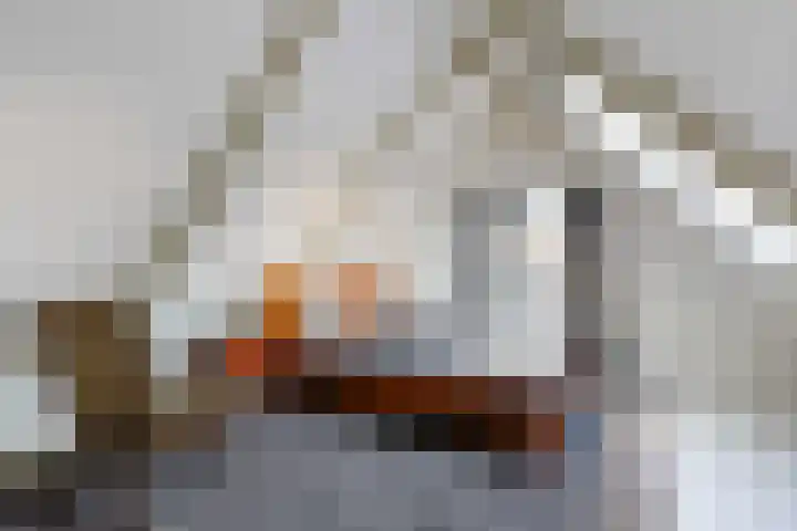 Wjuk 24 Ternaard thumbnail 26
