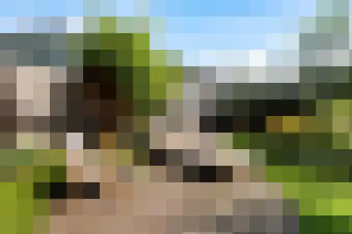 Wjuk 24 Ternaard thumbnail 29