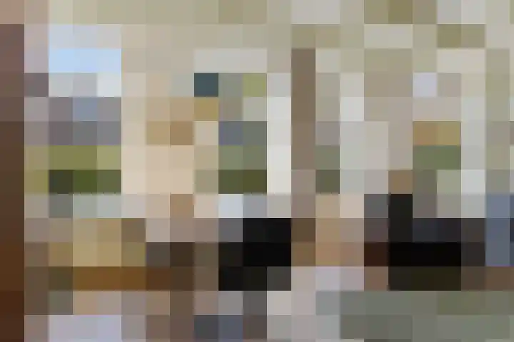 Wjuk 24 Ternaard foto 3