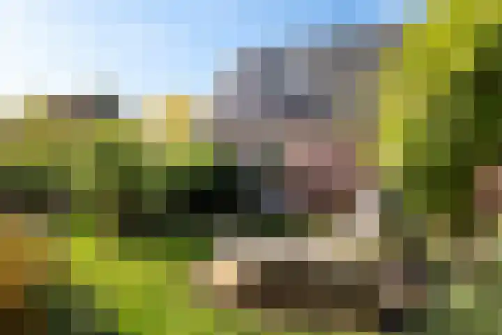 Wjuk 24 Ternaard thumbnail 30