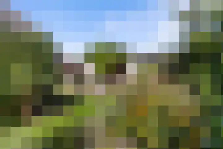 Wjuk 24 Ternaard thumbnail 31