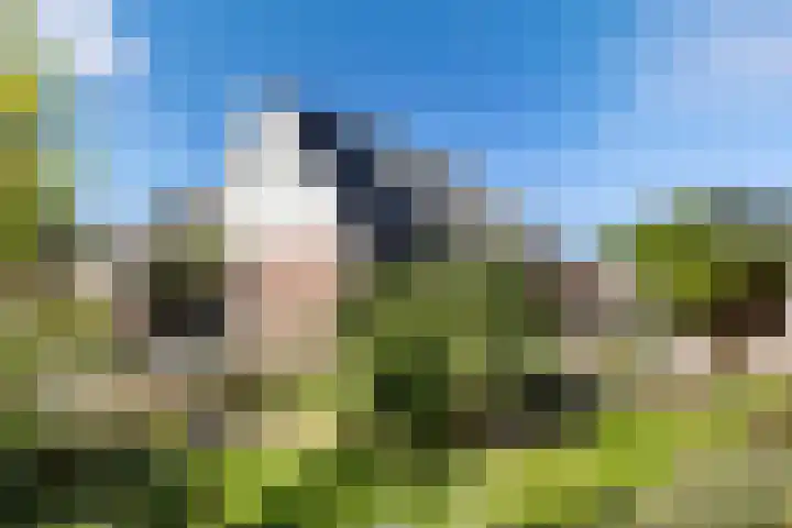 Wjuk 24 Ternaard thumbnail 32