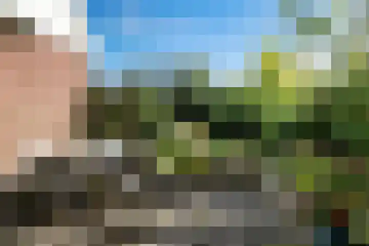 Wjuk 24 Ternaard thumbnail 33