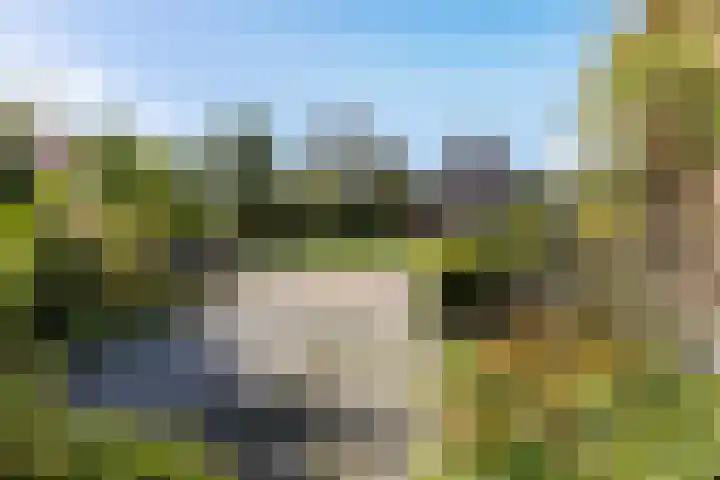 Wjuk 24 Ternaard thumbnail 34