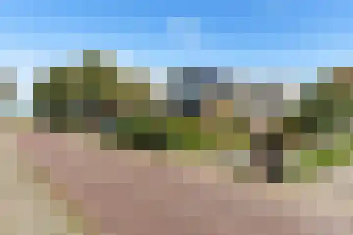Wjuk 24 Ternaard thumbnail 35